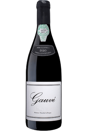 M.O.B. Gauvé Rode 2016
