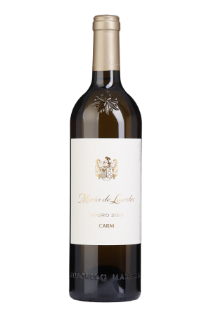 Maria de Lourdes Branco 2023