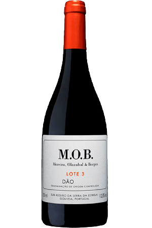 M.O.B. Lote 3 Rode 2023