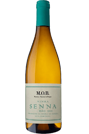 M.O.B. Senna Witte 2023