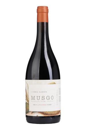 Musgo Alfrocheiro Tinto 2023