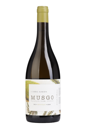 Musgo Encruzado Branco 2024
