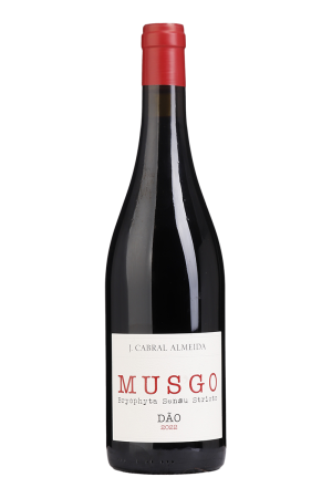 Musgo Tinto 2022