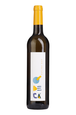 Ó De Cá Branco 2024