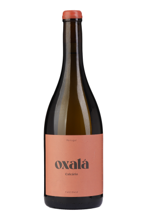 Oxalá Calcário Reserva Weißwein 2022