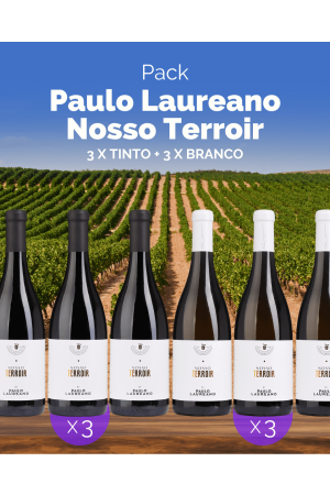 Pack Paulo Laureano Nosso Terroir: 3x Branco + 3x Tinto