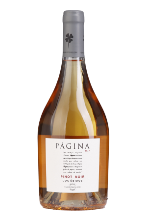 Página Pinot Noir Rosé 2023