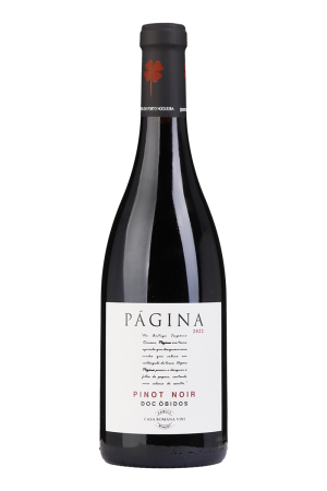 Página Pinot Noir Tinto 2022