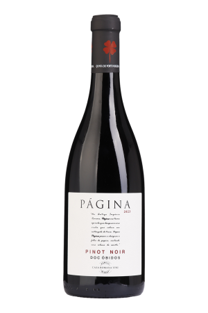 Página Pinot Noir Tinto 2023