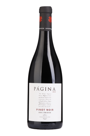 Página Pinot Noir Tinto 2024