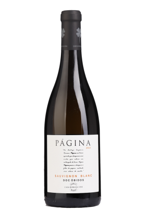 Página Sauvignon Blanc Branco 2023