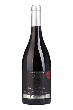Paxá Negra Mole Tinto 2024