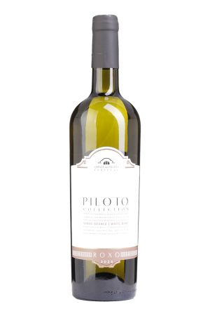 Piloto Collection Roxo Branco 2024