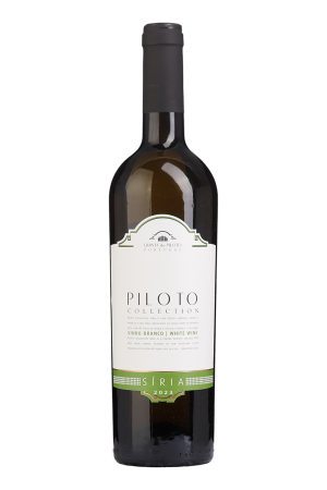 Piloto Collection Siria Branco 2023