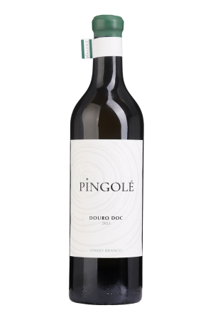 Pingolé Branco 2023