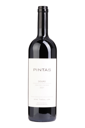 Pintas Tinto 2021