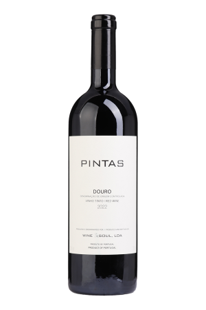 Pintas Tinto 2022