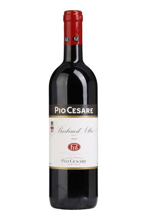 Pio Cesare Barbera d'alba Tinto 2023