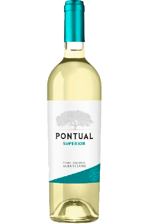 Pontual Superior Witte 2022