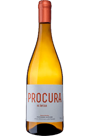 Procura na Ânfora Branco 2022