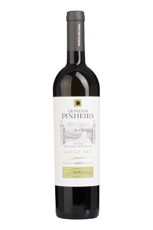 Quinta da Pinheira Antão Vaz Branco 2024