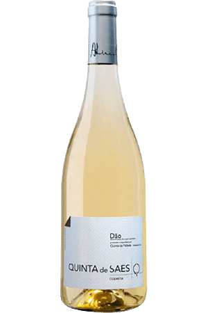 Quinta de Saes Branco 2023