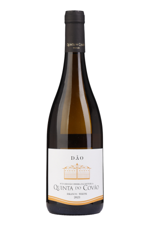 Quinta do Covão Branco 2023