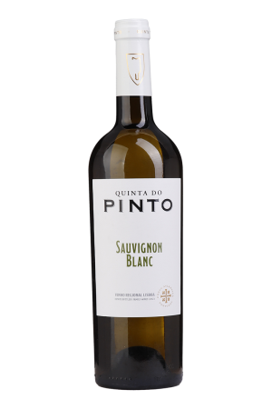 Quinta do Pinto Sauvignon Blanc Branco 2023
