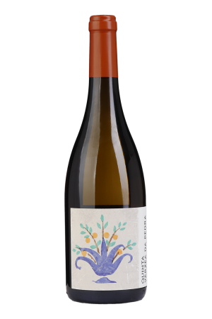 Quinta Várzea da Pedra Sauvignon Blanc Branco 2021