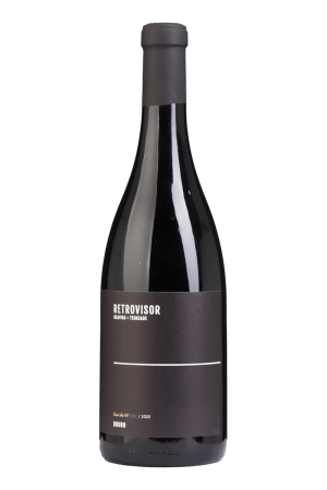 Retrovisor Tinto 2021