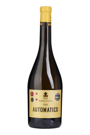 Ribeiro Santo Automático Branco 2024