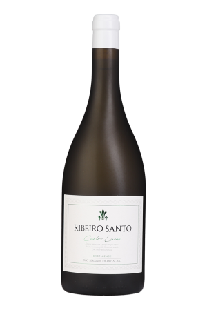 Ribeiro Santo Excellence Grande Escolha Branco 2023