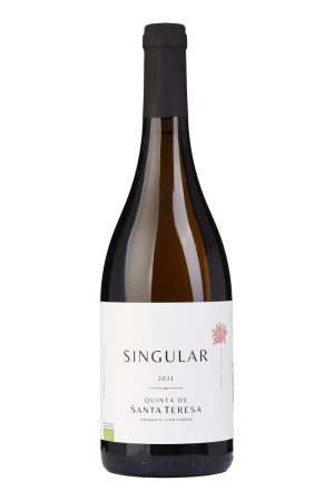 Singular Branco 2022