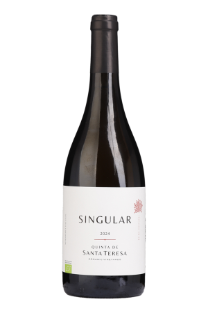 Singular Branco 2024