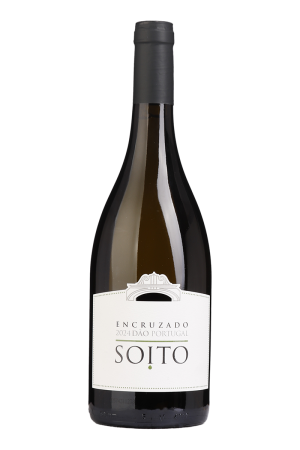 Soito Encruzado Branco 2024 1,5 Lt