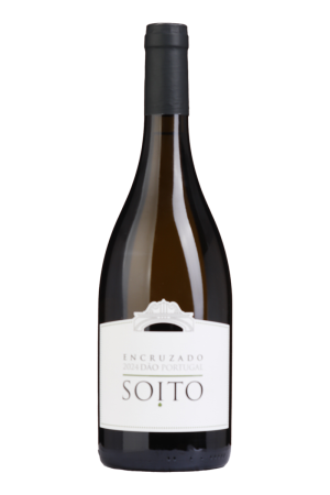Soito Encruzado Branco 2024