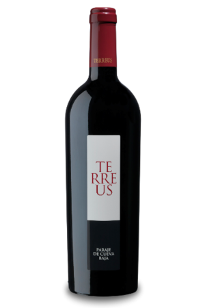 Terreus Tinto 2020