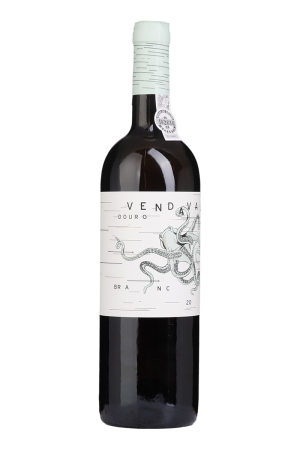 Vendaval Branco 2024