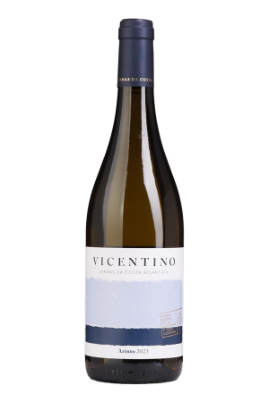Vicentino Arinto Branco 2023