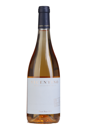 Vicentino Pinot Noir Rosé 2019