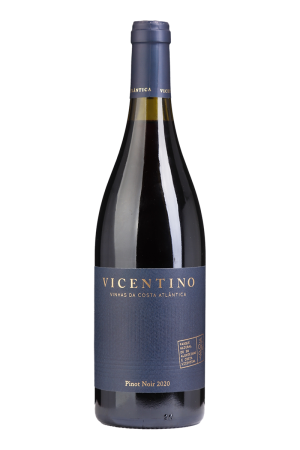 Vicentino Pinot Noir Tinto 2020