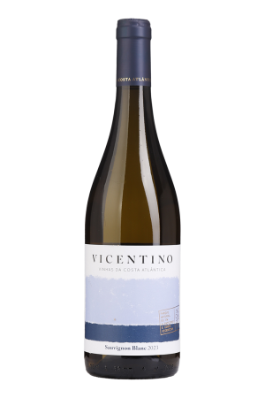Vicentino Sauvignon Blanc Branco 2023
