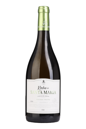 Vinha de Santa Maria Branco 2024