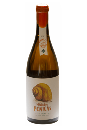 Vinha das Penicas Branco 2019
