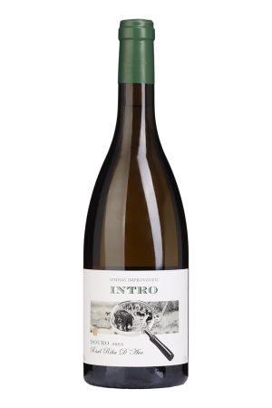 Vinhas Improváveis Intro Branco 2023